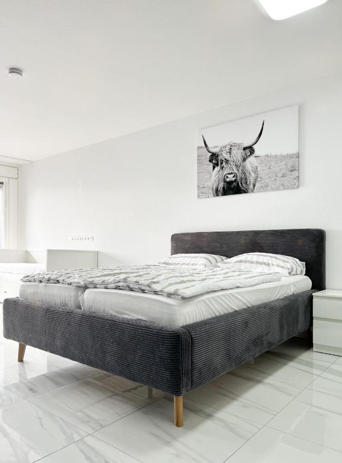 Modernes Apartment Mit Stil In City Lage 卡尔斯鲁厄 外观 照片